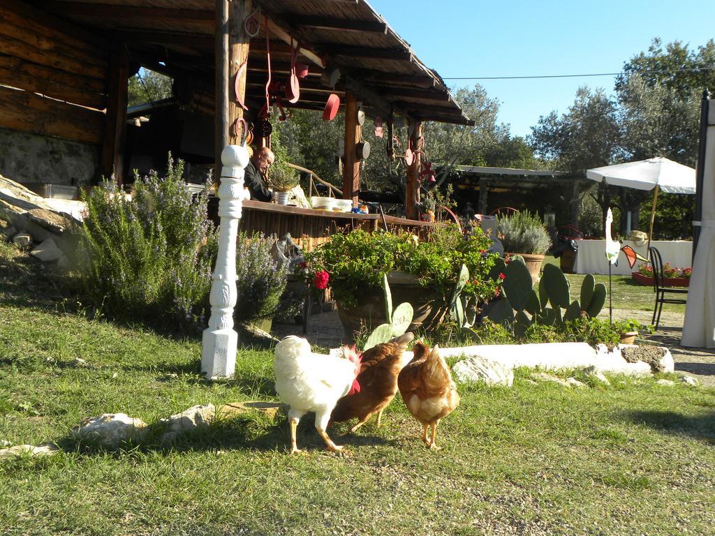 Country Resort Il Frassine Риньяно-суль-Арно Экстерьер фото