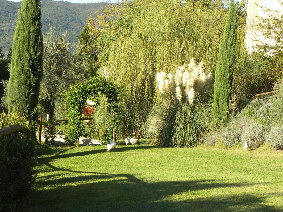Country Resort Il Frassine Риньяно-суль-Арно Экстерьер фото